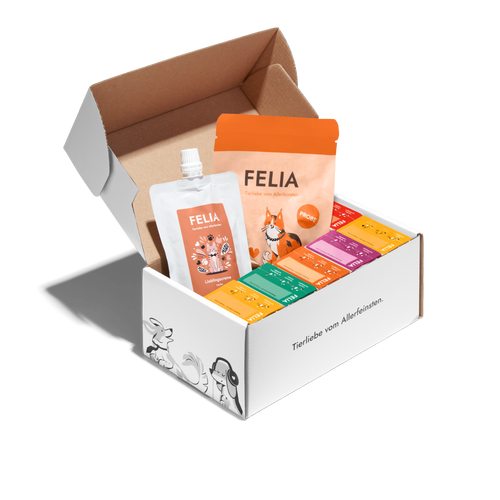 FELIA Kennenlernpaket