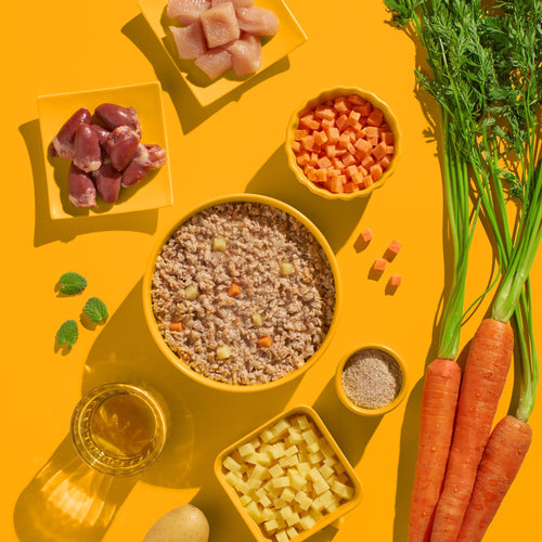 Zutaten in 100% Lebensmittelqualität